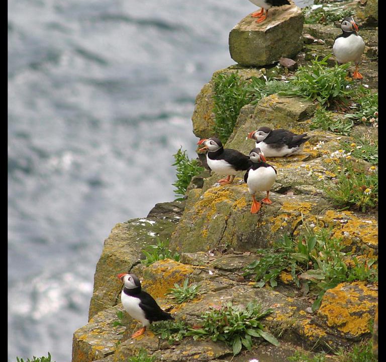 Photo of Others in John O'Groats