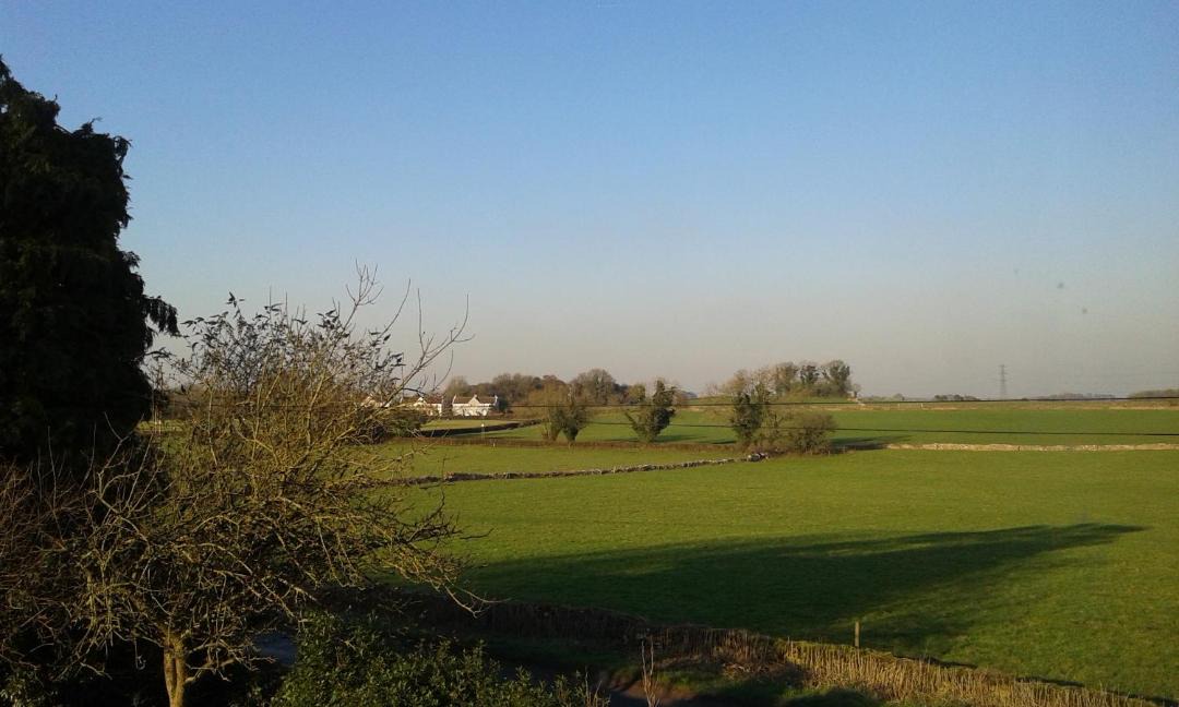 Photo of Outdoor in Nettleton