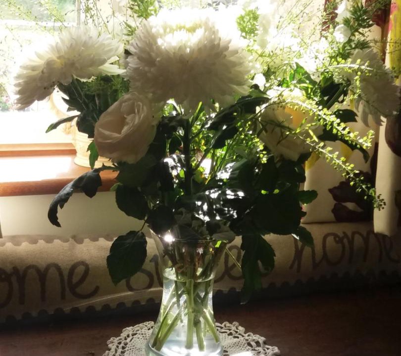 Photo of Others in Nettleton