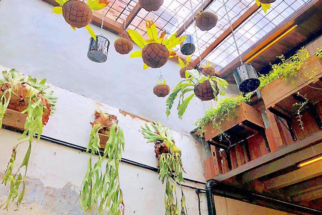 Photo of Others in Jonker Walk