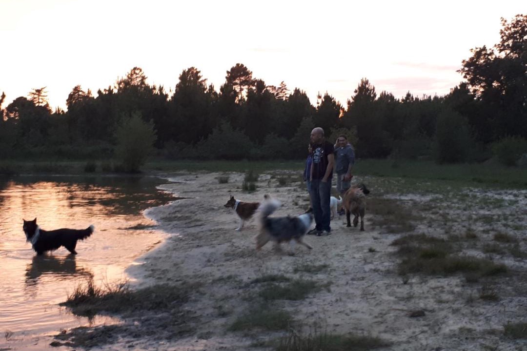 Photo of Others in Captieux