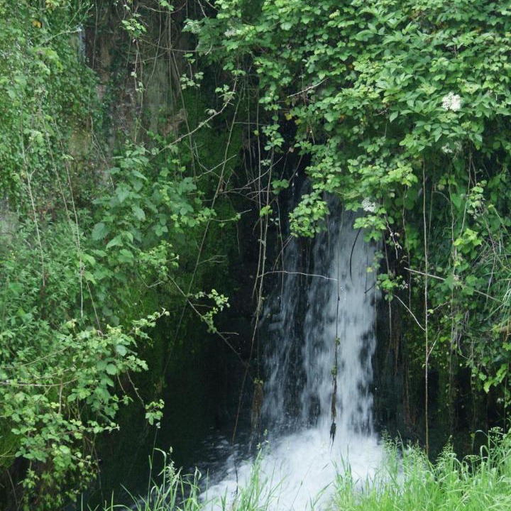 Photo of Others in Quettehou