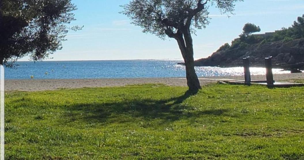 Photo of Outdoor in Roques Daurades