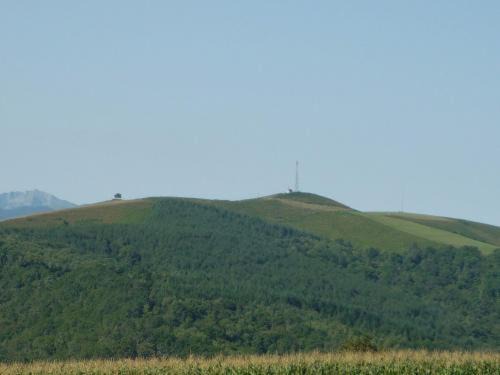 Photo of Others in Orincles