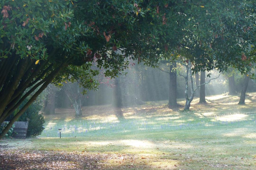 Photo of Others in Angouleme