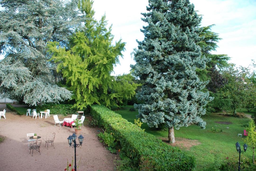 Photo of Others in Les Rosiers-sur-Loire