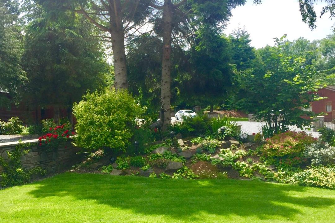 Photo of Others in Auchterarder