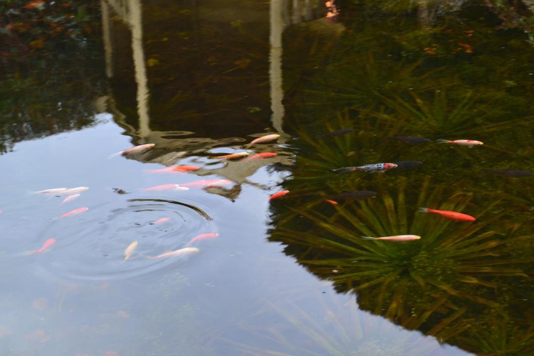 Photo of Outdoor in Sandilands