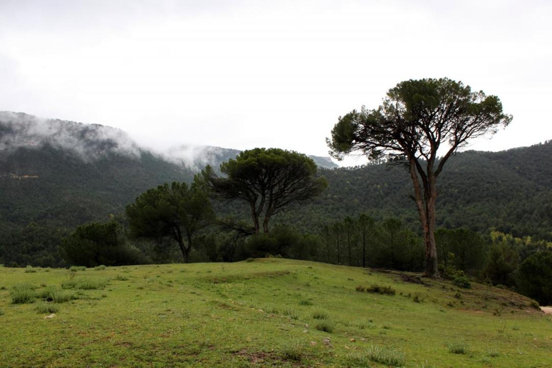 Photo of Others in Molinicos