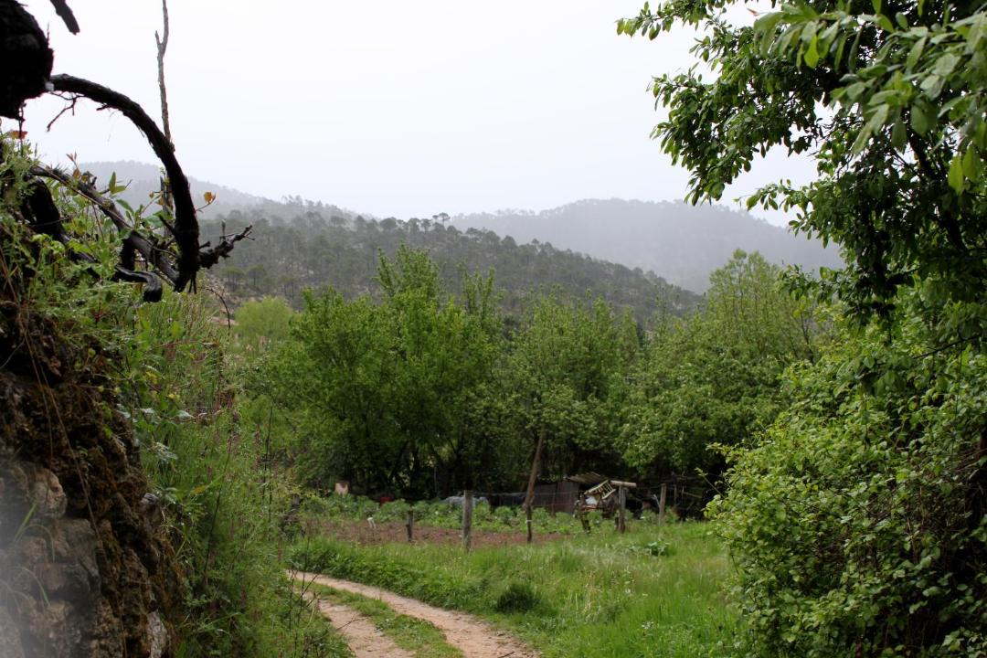 Photo of Others in Molinicos