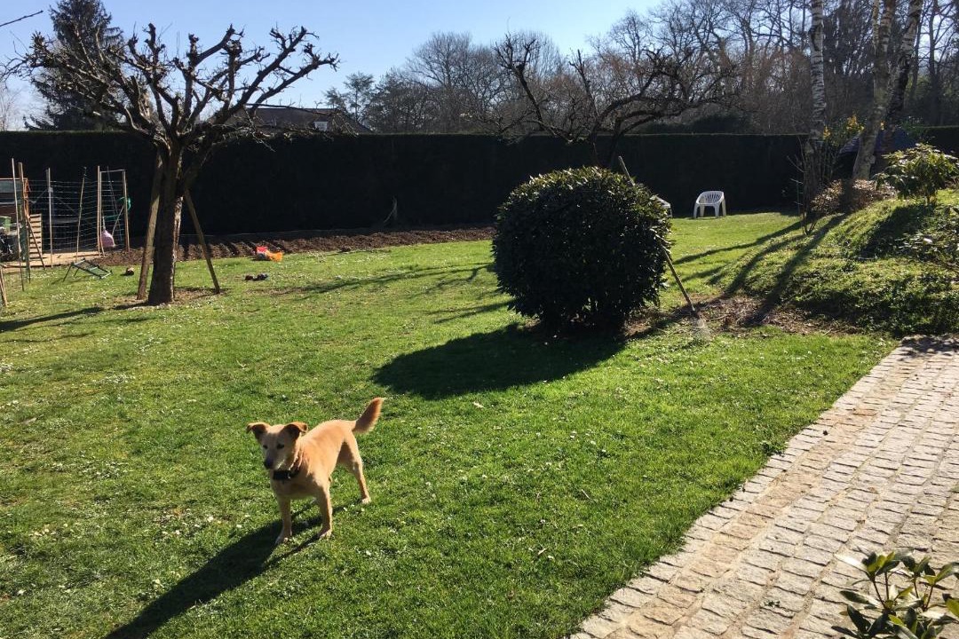 Photo of Outdoor in Idron