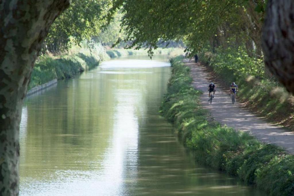 Photo of Others in Anatole France