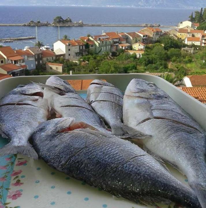 Photo of Others in Trpanj