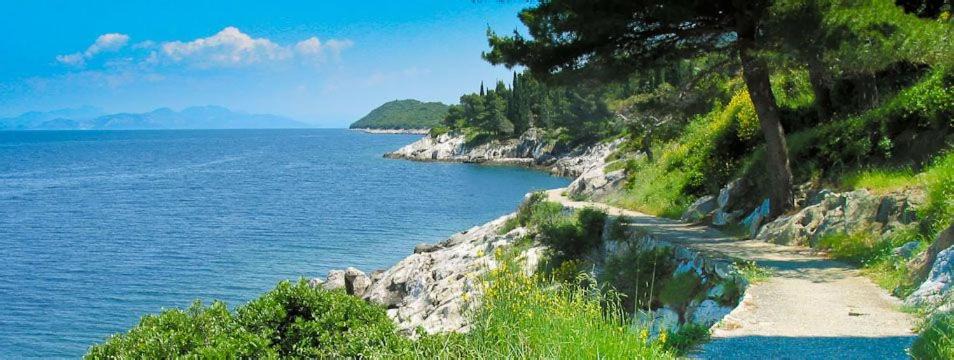 Photo of Outdoor in Trpanj