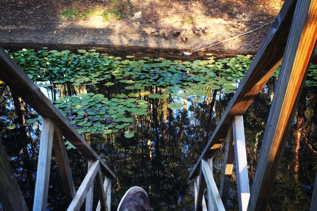 Photo of Others in Wheatsheaf