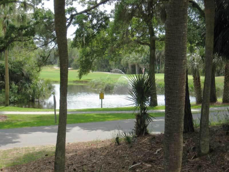 Photo of Outdoor in Saint Helena Island