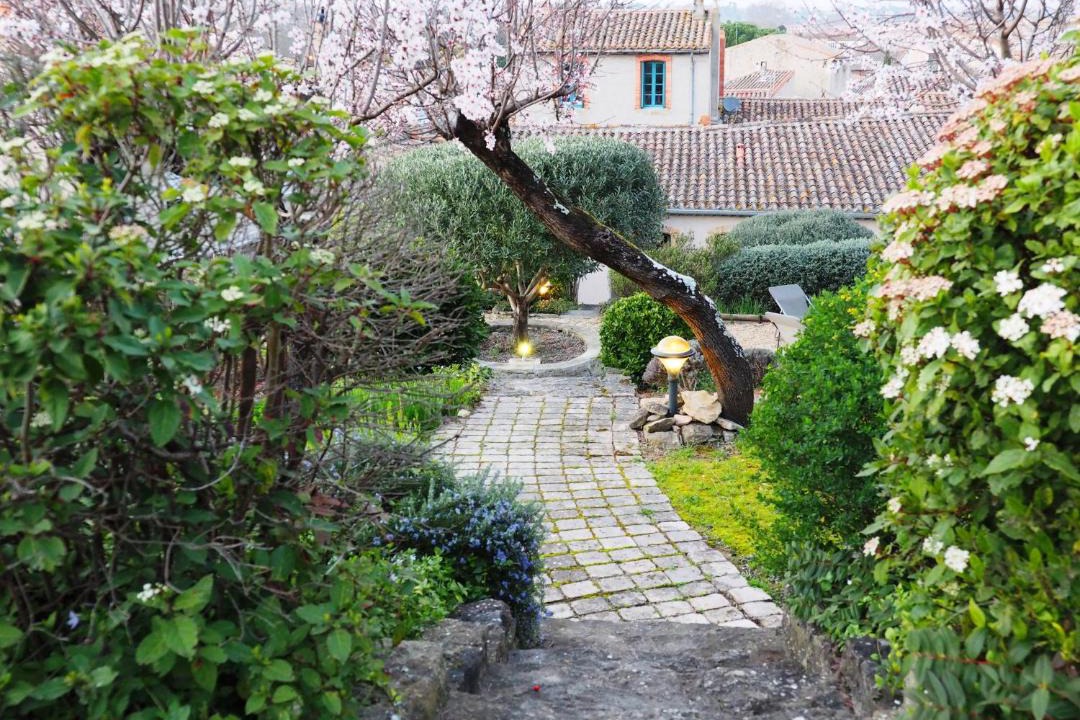 Photo of Others in Carcassonne