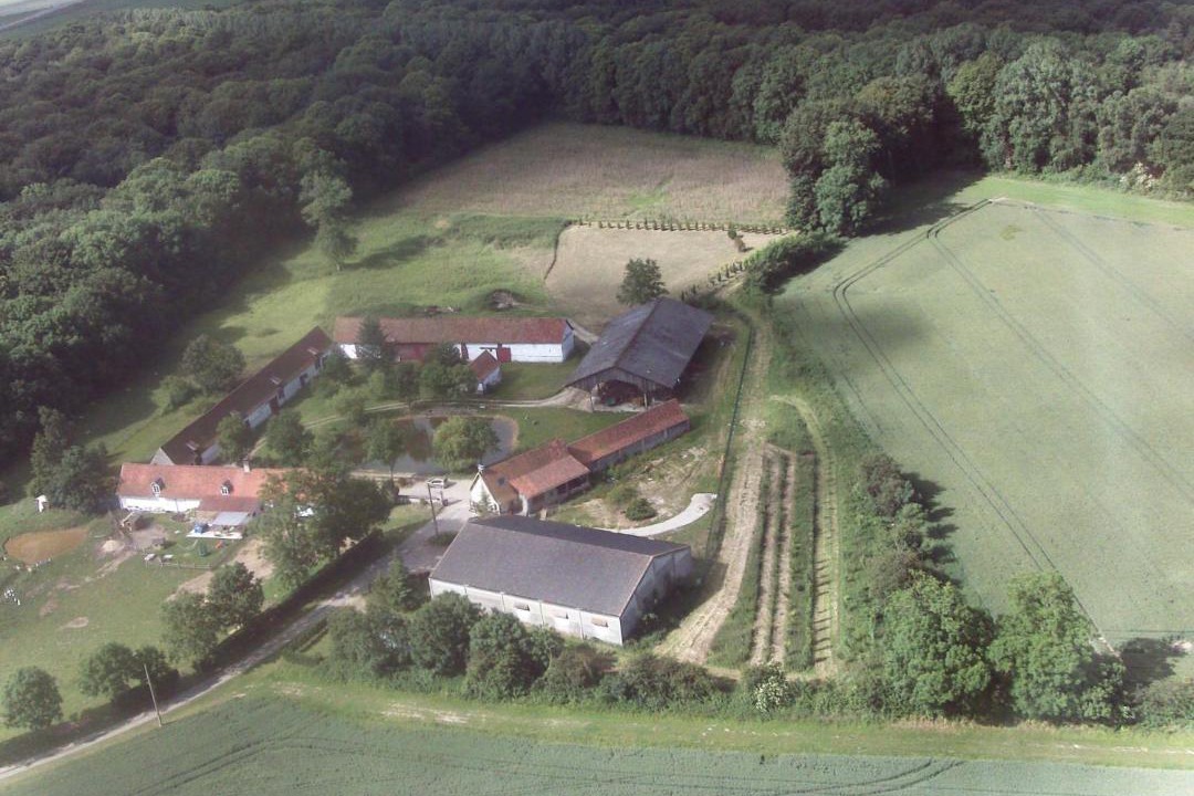 Photo of Others in Lepine