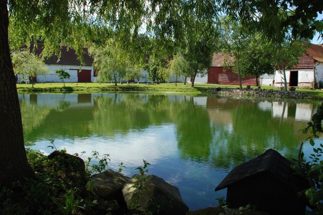 Photo of Others in Lepine