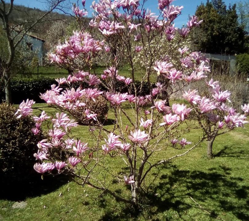 Photo of Others in Puivert