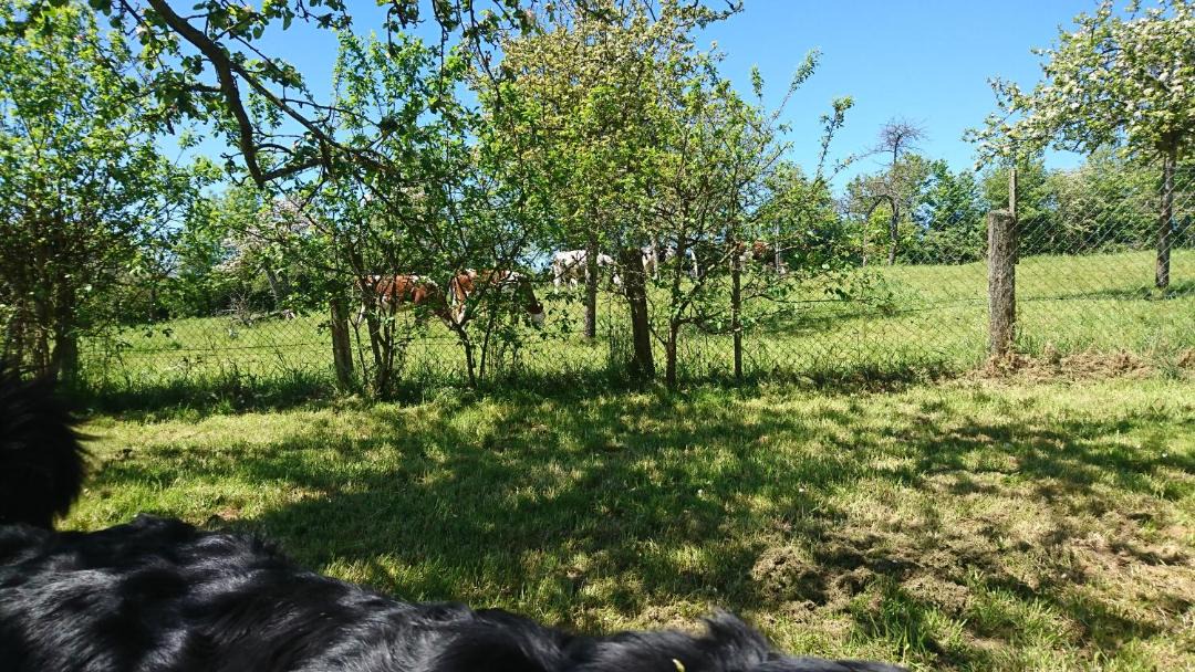 Photo of Others in Menil-Vin