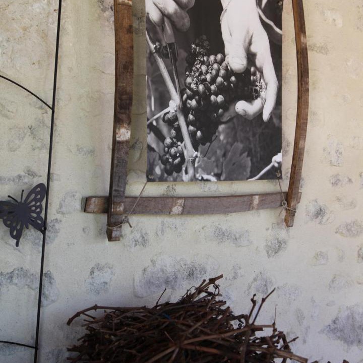 Photo of Others in Saint-Germain-dEsteuil