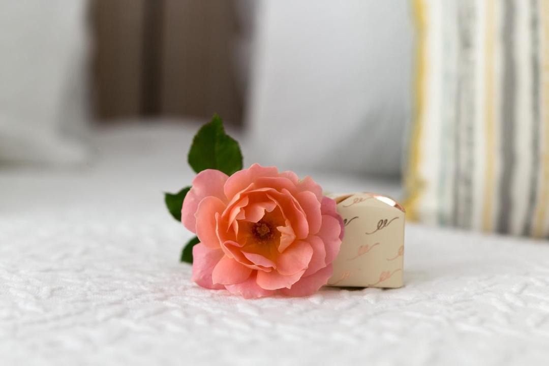 Photo of Others in Kerikeri