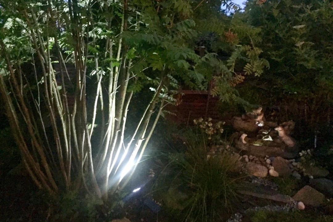 Photo of Others in Auchterarder