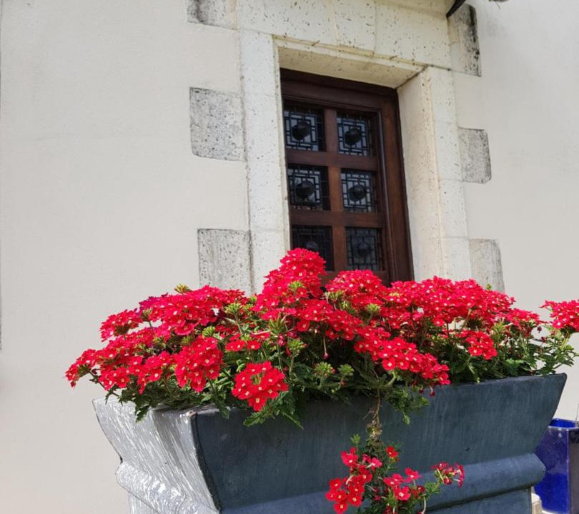 Photo of Others in Deviat