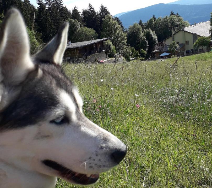 Photo of Others in Villard-de-Lans