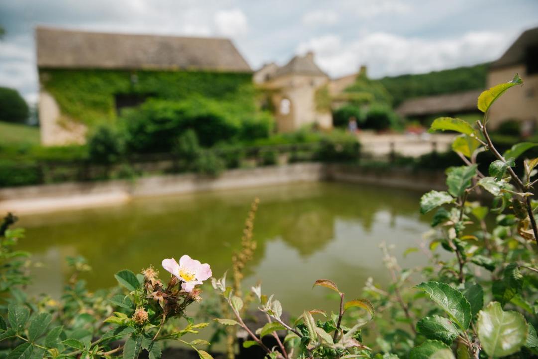 Photo of Others in Savigny-les-Beaune