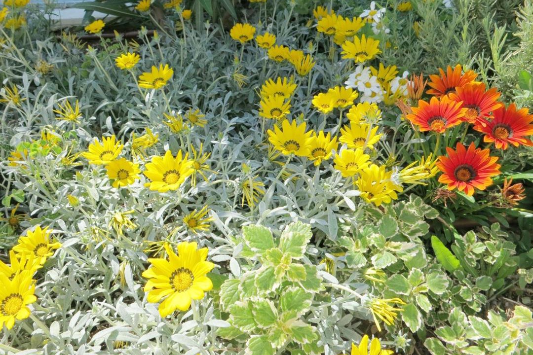 Photo of Outdoor in Viganj