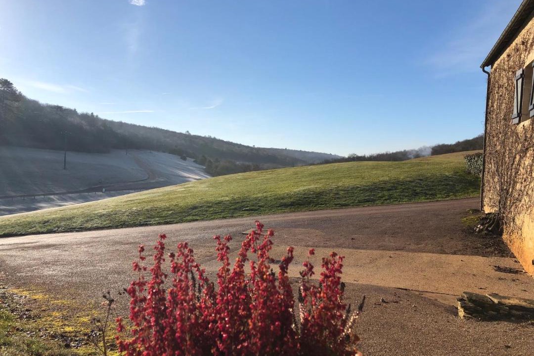 Photo of Others in Savigny-les-Beaune