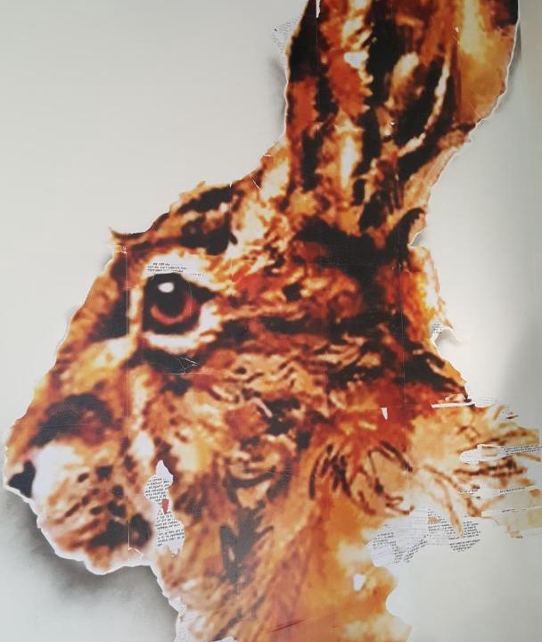 Photo of Others in Saint-Maurice Pellevoisin