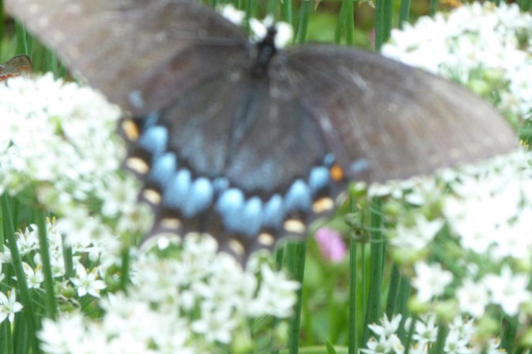 Photo of Others in Kilmarnock