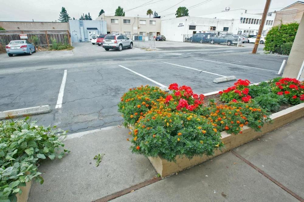 Photo of Others in San Carlos