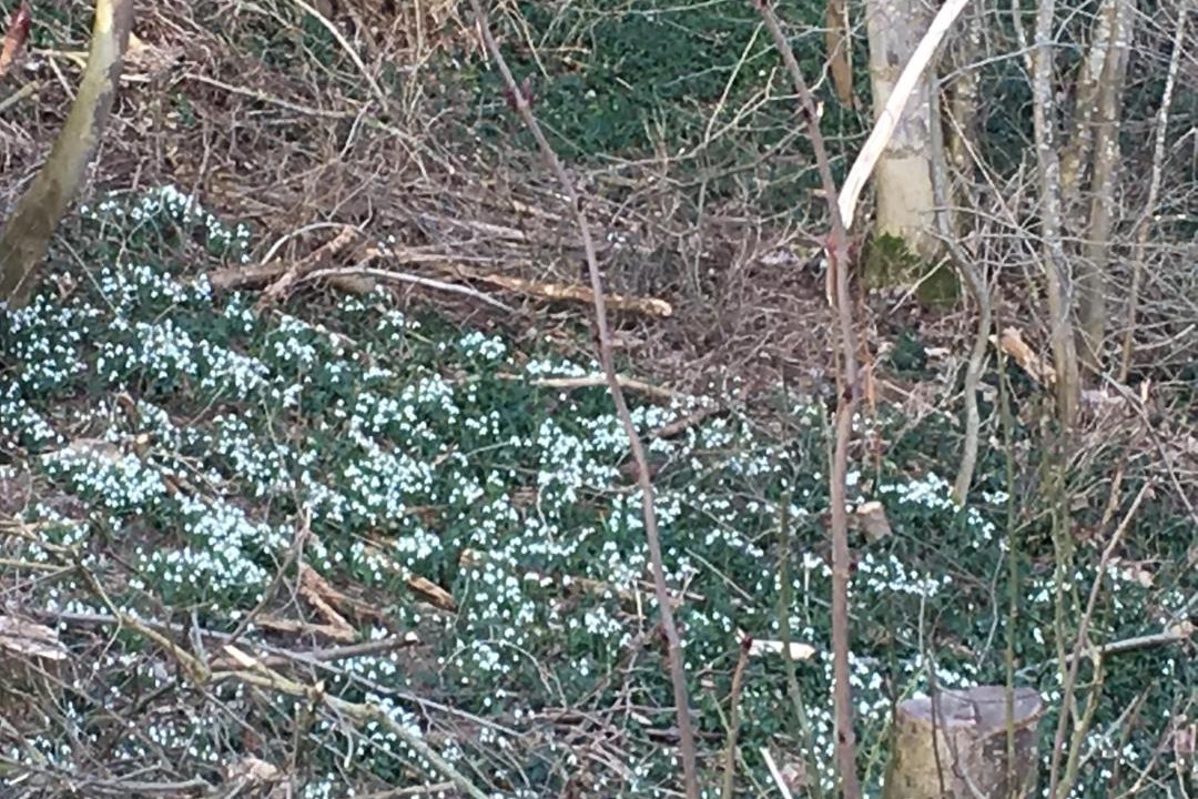 Photo of Others in Nordborg