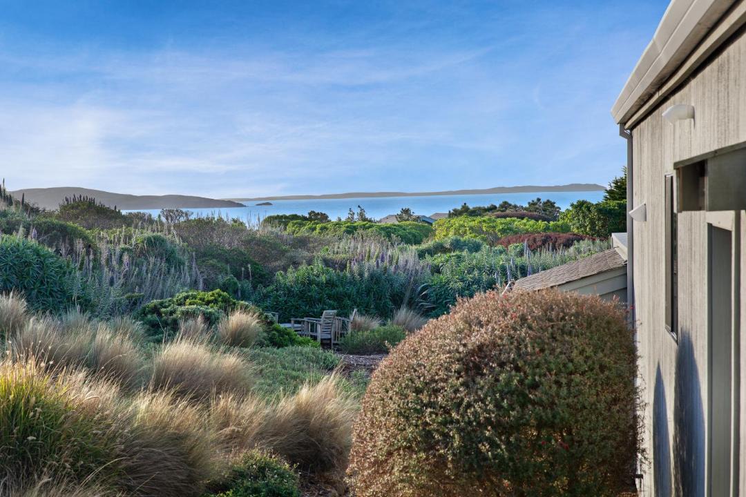 Photo of Others in Bodega Bay