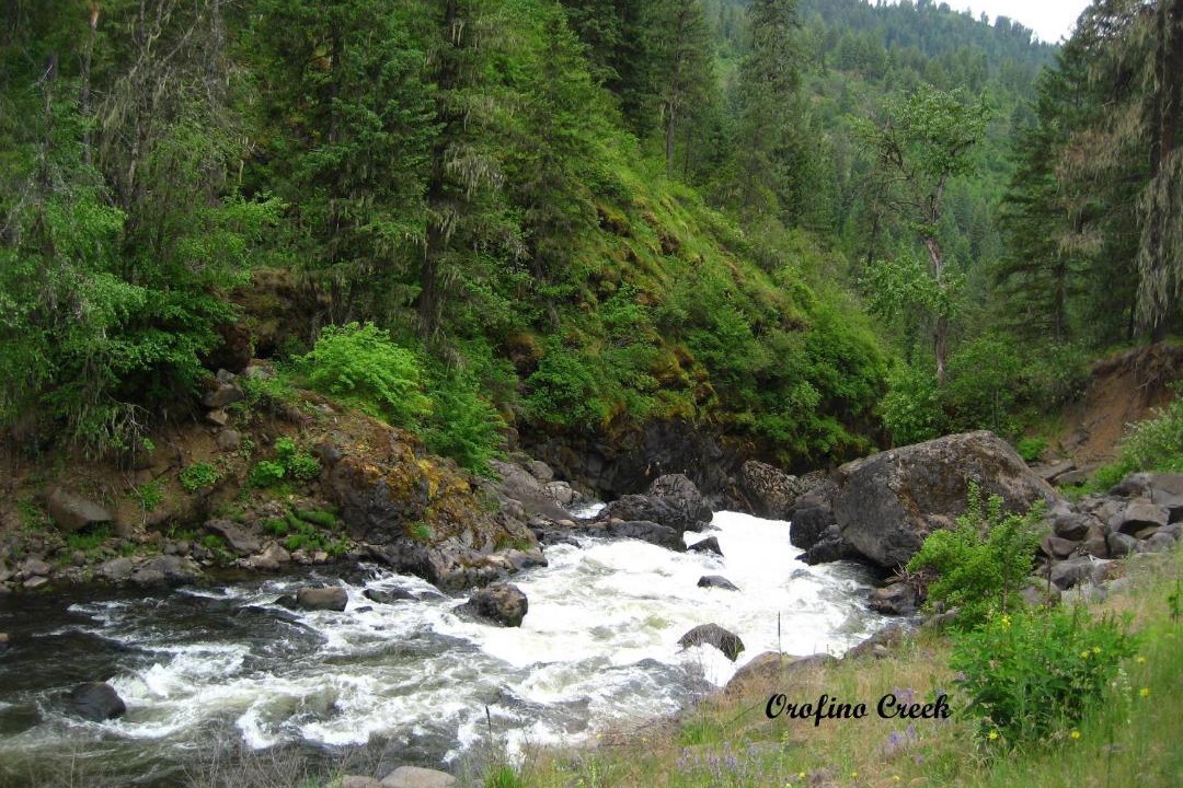 Photo of Others in Ahsahka