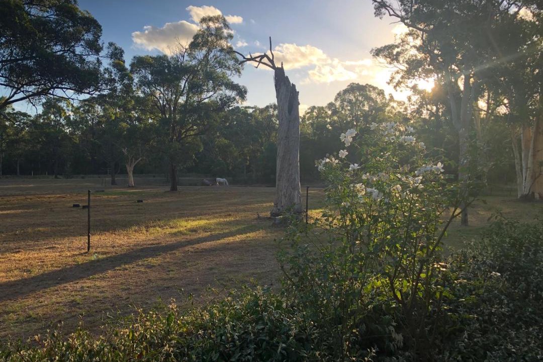 Photo of Others in Quorrobolong