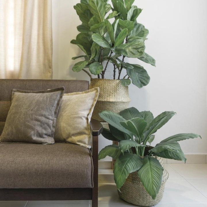 Photo of Others in Bandar Kota Bharu