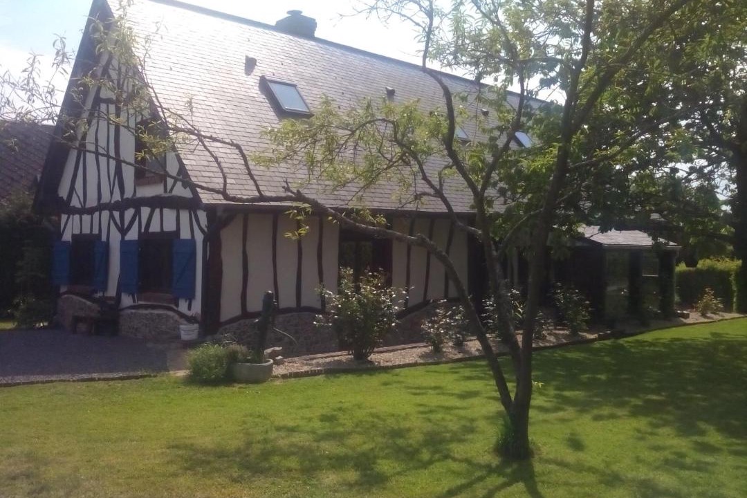 Photo of Others in Limesy