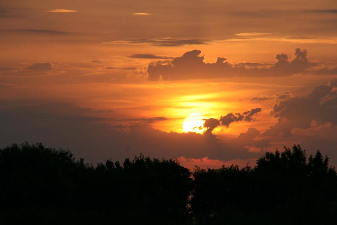 Photo of Others in Allas-Bocage