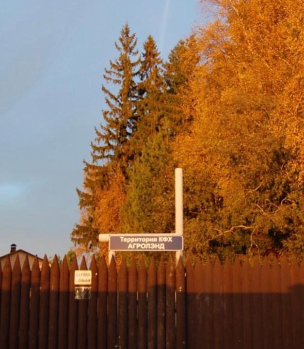 Photo of Others in Volnoga