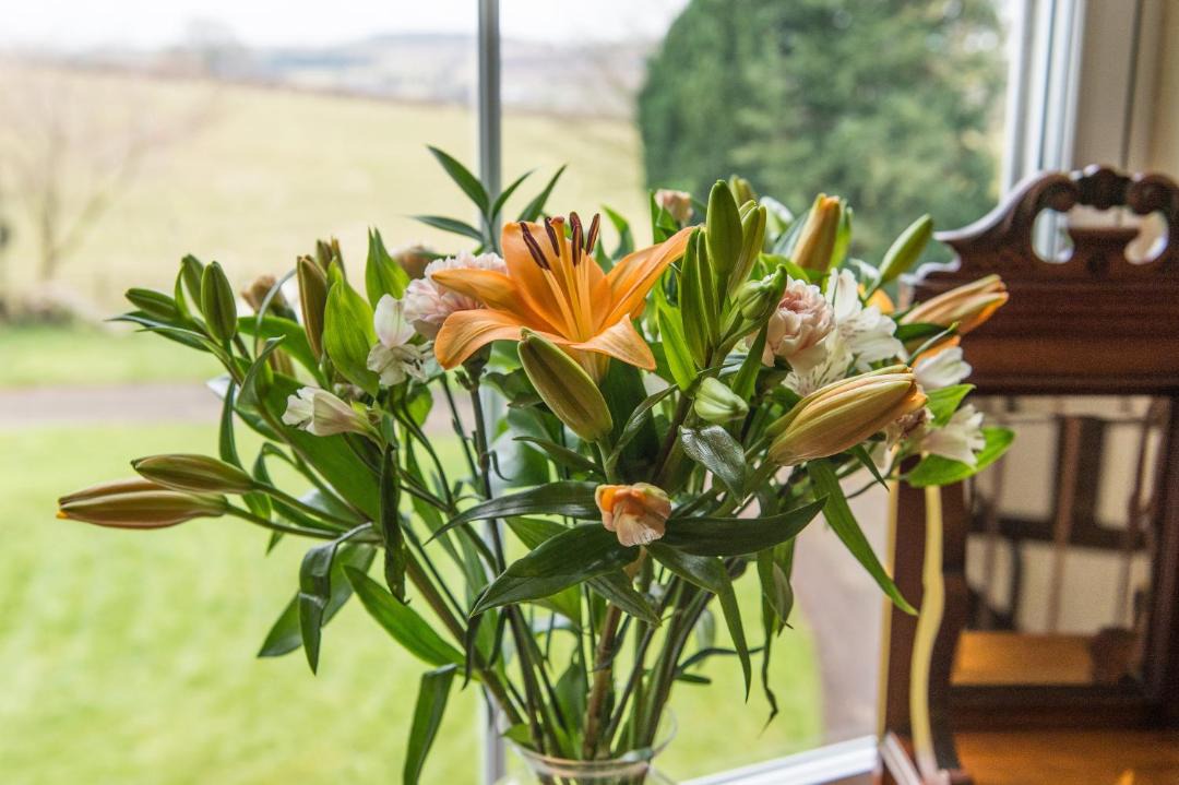 Photo of Others in Clows Top