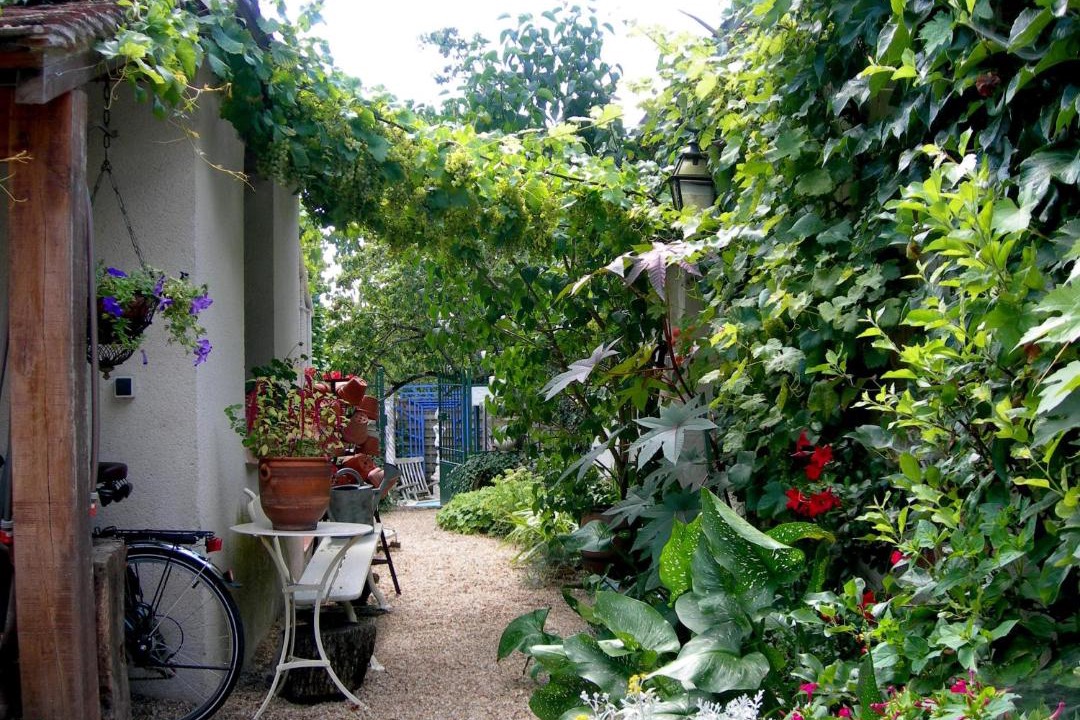 Photo of Others in Selles-sur-Cher