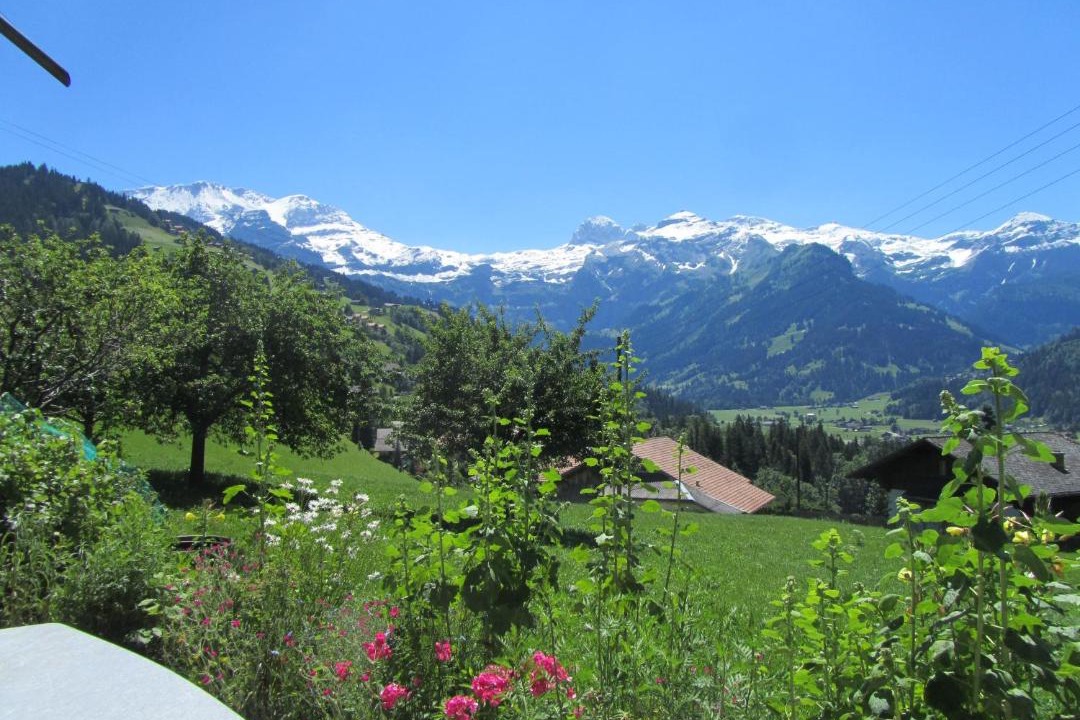 Photo of Others in Lenk