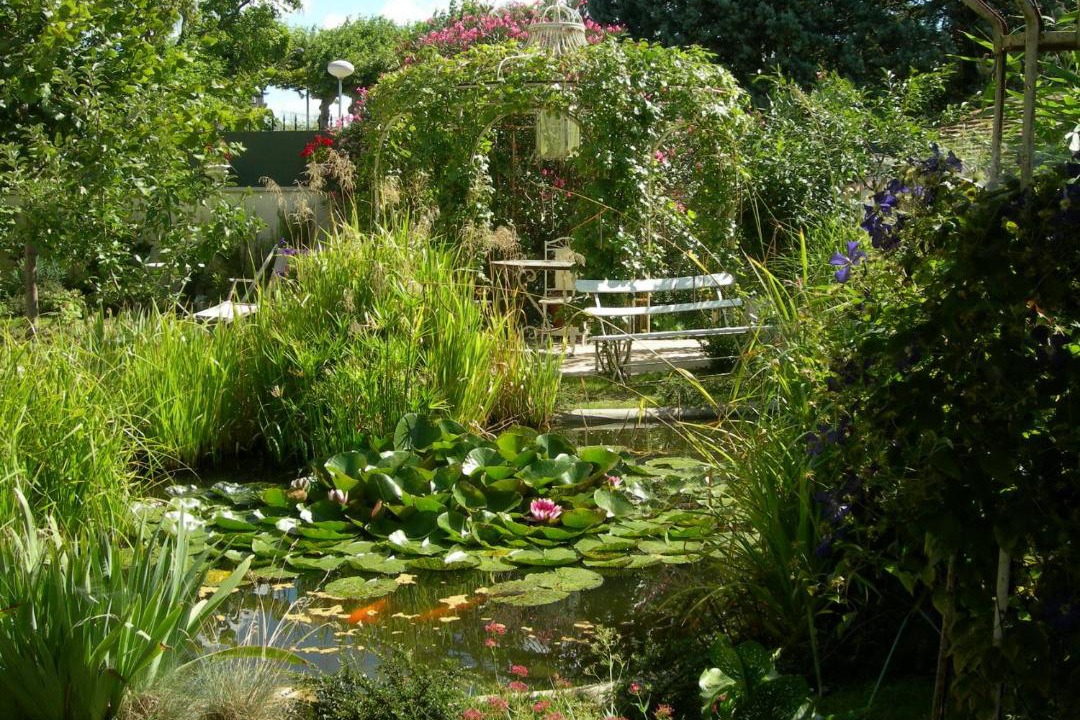 Photo of Others in Selles-sur-Cher