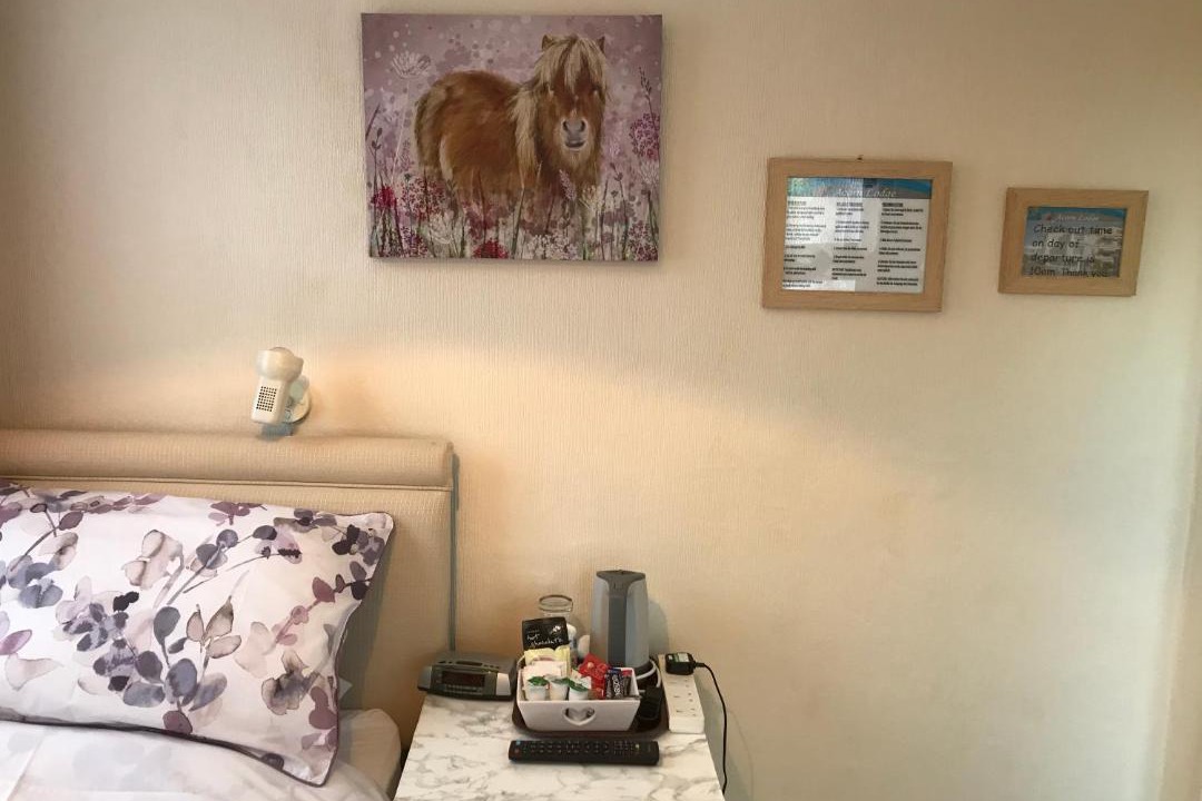 Photo of Others in Hele