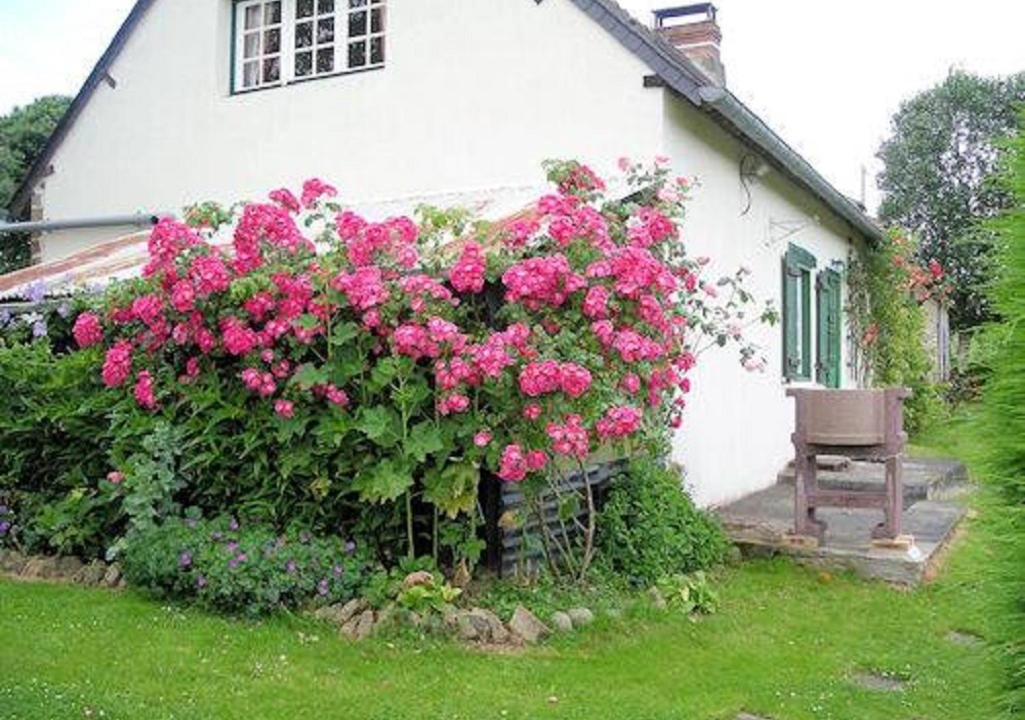 Photo of Others in Brece